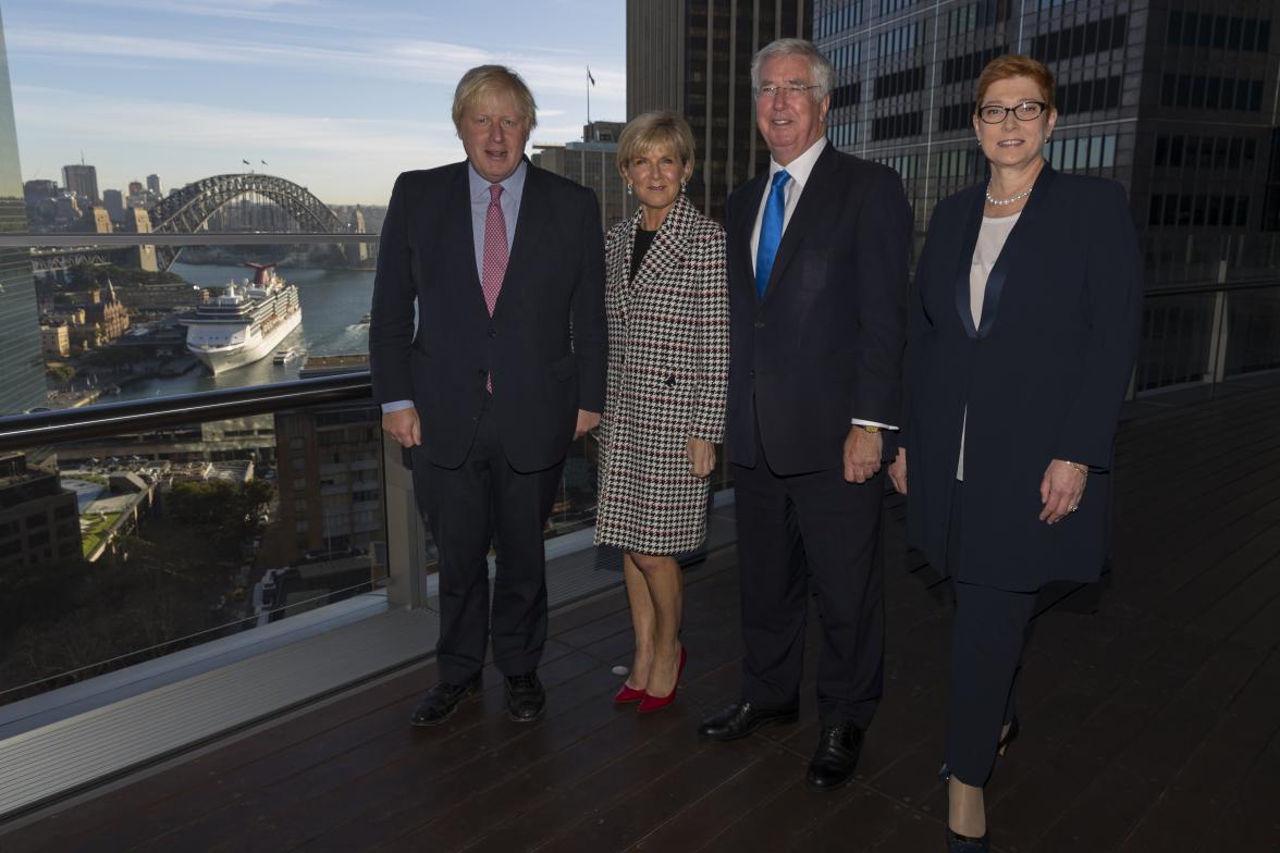 Foreign Minister Julie Bishop at the Demilitarised Zone