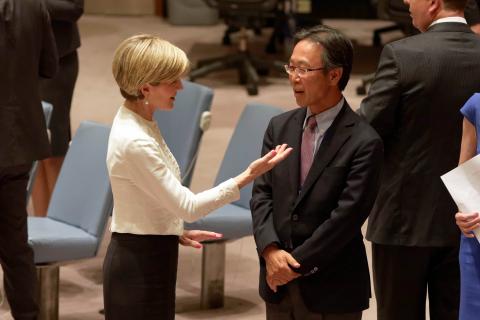 Visit to New York by Minister for Foreign Affairs Julie Bishop, 29 July 2015. Minister Julie Bishop in the UN Security Council where she delivered a statement regarding Malaysia Airline flight MH17 downed over Ukraine. photo by Trevor Collens