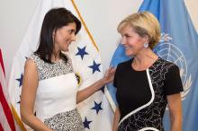 Foreign Minister Julie Bishop at the ‘Conference Row’, Demilitarised Zone