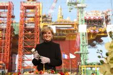Foreign Minister Julie Bishop at the INPEX Central Processing Facility, Geoje Island.