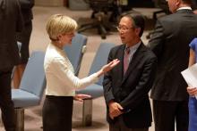 Visit to New York by Minister for Foreign Affairs Julie Bishop, 29 July 2015. Minister Julie Bishop in the UN Security Council where she delivered a statement regarding Malaysia Airline flight MH17 downed over Ukraine. photo by Trevor Collens