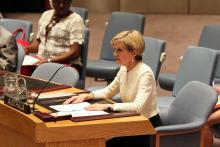 Visit to New York by Minister for Foreign Affairs Julie Bishop, 29 July 2015. Minister Julie Bishop in the UN Security Council where she delivered a statement regarding Malaysia Airline flight MH17 downed over Ukraine. photo by Trevor Collens